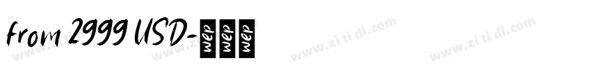 from 2999 USD字体转换